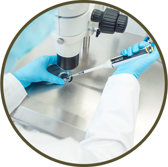 In Vitro Fertilization being performed by a Fertility Clinic